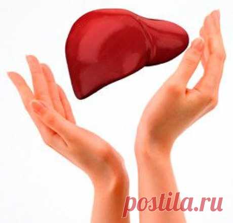ПРОГНОЗ ЖИЗНИ С ЦИРРОЗОМ ПЕЧЕНИ