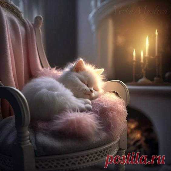 " СЕГОДНЯ " ВНОВЬ УХОДИТ ВО " ВЧЕРА" ,
ЕЩЁ НА СУТКИ СТАЛА ЖИЗНЬ КОРОЧЕ ;
КАЗАЛОСЬ , ТОЛЬКО КОФЕ ПИЛ С УТРА ,
ОГЛЯНЕШСЯ , А ДЕЛО БЛИЖЕ К НОЧИ .