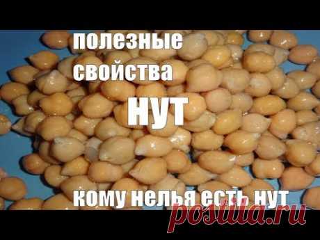 Нут полезные свойства Кому нельзя есть нут