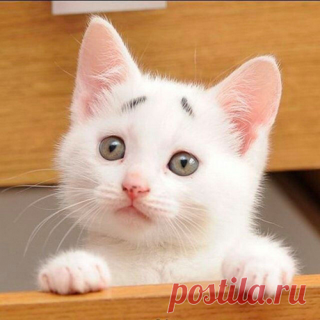 He засоряйте свою память обидами, а то там может просто не остаться места для прекрасных мгновений.