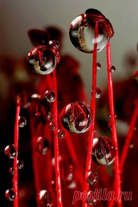 (11) Pinterest