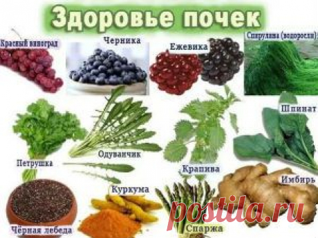 Диета при заболевании почек, меню и питание при больных почках
