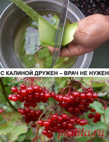 (49) Одноклассники