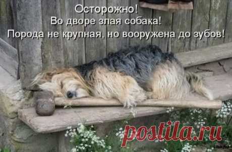 Интересные новости