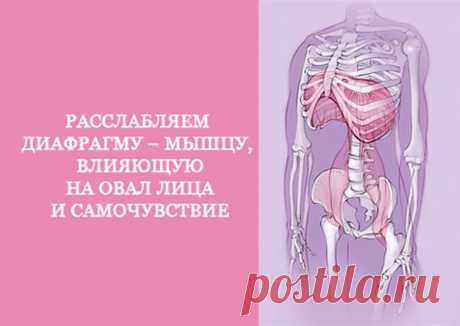 Расслабляем диафрагму. Эта мышца влияет на овал лица и самочувствие / Будьте здоровы