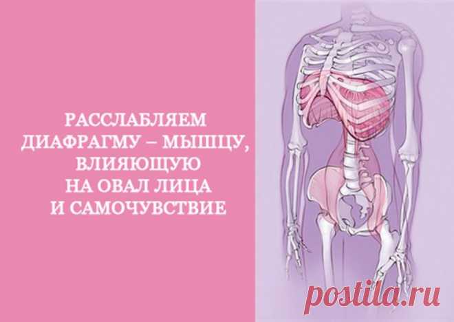 Расслабляем диафрагму. Эта мышца влияет на овал лица и самочувствие / Будьте здоровы