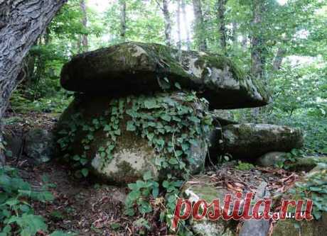 Дольмен ур.Три дуба — Солох-Аул Дольмен ур.Три дуба 12 — Солох-Аул, Местоположение на карте приблизительное! у нас вы можете заказать услуги проводника-гида к этим дольменам - круглый год.