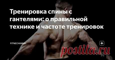 Тренировка спины с гантелями: о правильной технике и частоте тренировок | fitnechannel | Дзен