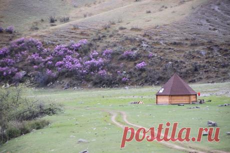 Что такое флоритуризм и почему мне это тоже не чуждо и куда поехать за ним | Соло - путешествия | Яндекс Дзен