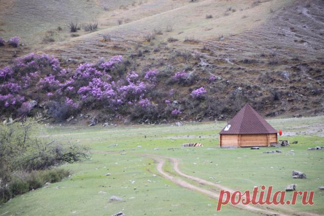 Что такое флоритуризм и почему мне это тоже не чуждо и куда поехать за ним | Соло - путешествия | Яндекс Дзен