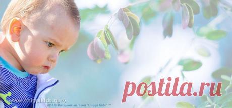 Интернет-магазин детской и подростковой одежды