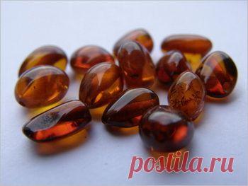 Камень янтарь. Янтарь – солнечный амулет счастья и здоровья