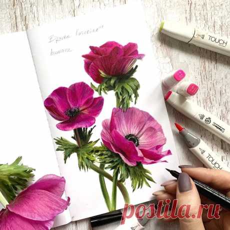 скетчинг для начинающих: 2 тыс изображений найдено в Яндекс.Картинках