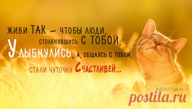 Мудрые, позитивные и короткие высказывания о жизни великих людей