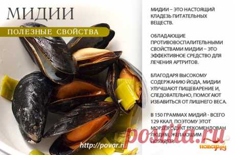 Мидии полезные свойства