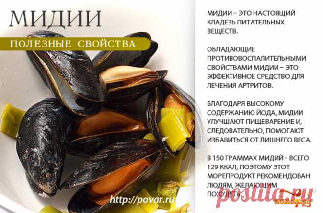 Мидии полезные свойства