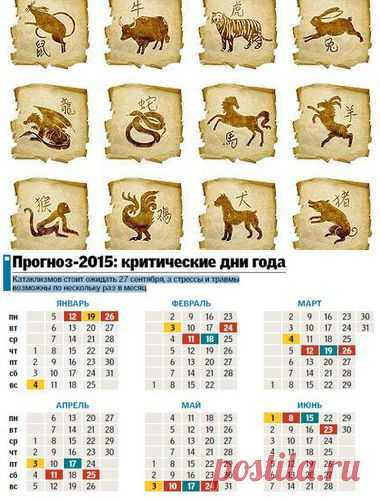 КИТАЙСКИЙ ГОРОСКОП на 2015 год | Гороскоп