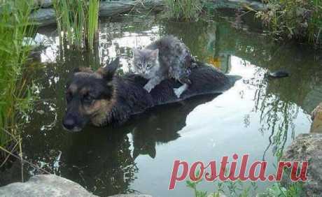Фотографије из објаве корисника Gojko Peric Goja - Gojko Peric Goja