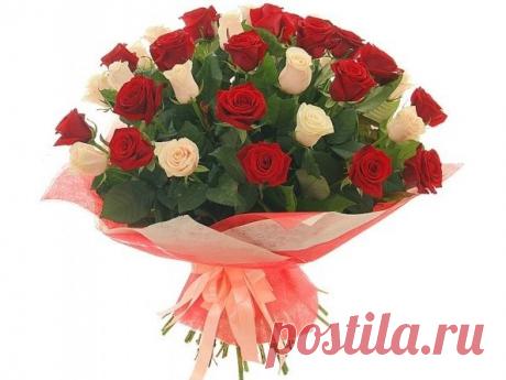 Как начеренковать розы из подаренного букета? - Экологическое землетворчество | Экологическое землетворчество