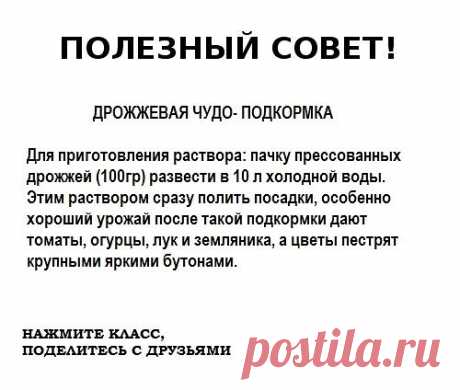 Дрожжевая чудо подкормка