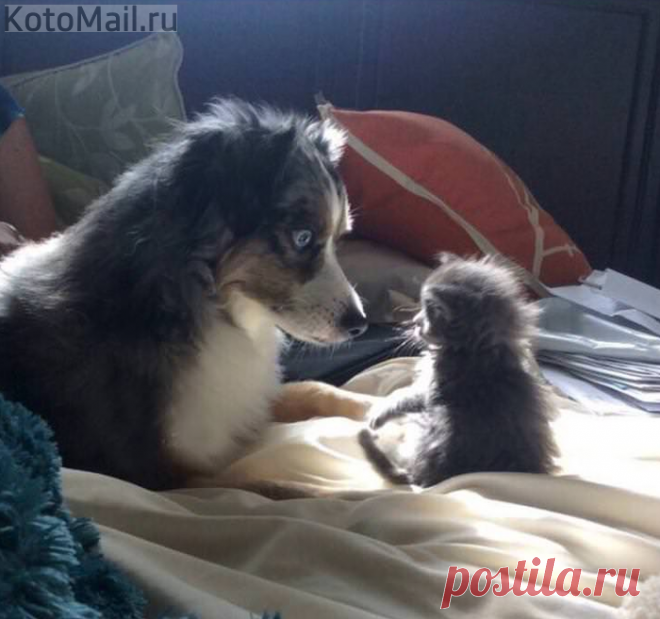 Знакомство