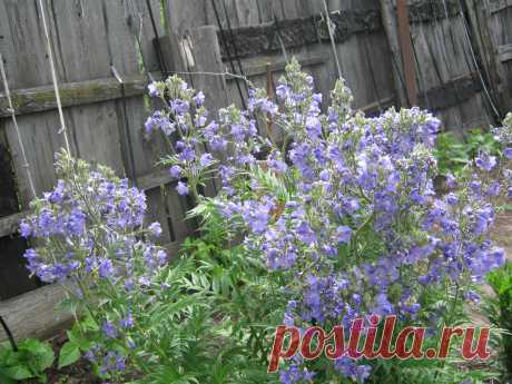 кругом красота