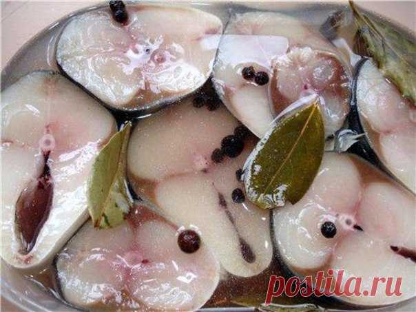 ВКУСНЕЙШАЯ СКУМБРИЯ ДОМАШНЕГО ПОСОЛА