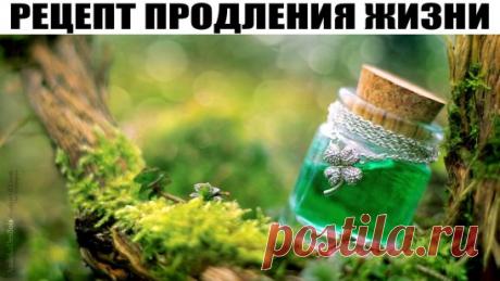 РЕЦЕПТ ПРОДЛЕНИЯ ЖИЗНИ
Найденный экспедицией Юнеско в 1971г. в ТиБетских монастырях, написан на глиняных табличках в 5 веке до н.э., переведен на все языки мира.
100 г ромашки 100 г зверобоя 100 г бессмертника 100 г березовых почек
Все измельчить, поместить в фарфоровую или стеклянную посуду. Вечером взять 1 столовую ложку этой смеси, залить на 0,5 литра воды (кипятка), настоять 20 минут, затем пропустить через ткань . Налить один стакан горячей смеси и растворить в ней 1 чайную ложку меда. Вече