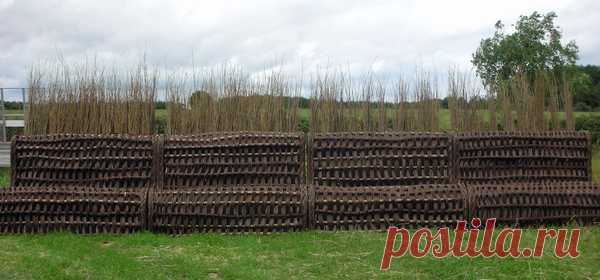 English Willow Baskets