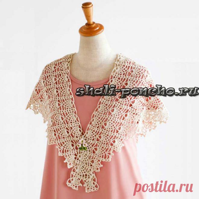 Ананасовый бактус