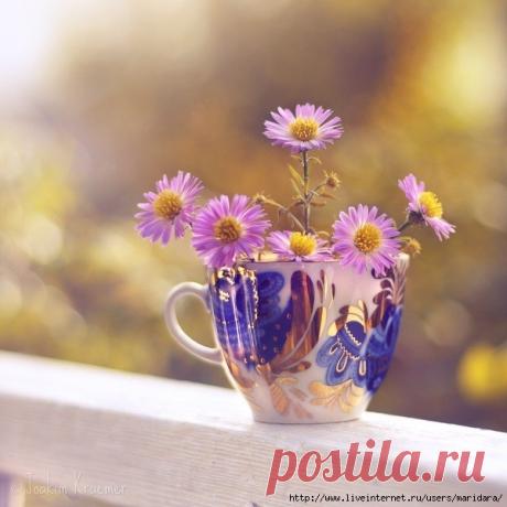 КАК ХОРОШО ПРОСНУТЬСЯ УТРОМ ДОМА,
ГДЕ ВСЕ, КАЗАЛОСЬ БЫ, ВАМ ИЗДАВНА ЗНАКОМО,
НО ГДЕ ТАК ПРАЗДНИЧНО В ЯВЬ ПЕРЕХОДИТ СОН,-
КАК БУДТО К СТАНЦИИ ПОДХОДИТ ВАШ ВАГОН.

ВЫ ПРОСЫПАЕТЕСЬ ОТ СЧАСТЬЯ, СЛОВНО В ДЕТСТВЕ.
ВАМ СОЛНЦЕ ЛЕТНЕЕ ШЛЕТ МИЛЛИОН ПРИВЕТСТВИЙ,
И СТЕНЫ СВЕТЛЫЕ, И ЯРКО-ЖЕЛТЫЙ ПОЛ,
И САД, ПРОНИЗАННЫЙ НАСКВОЗЬ ЖУЖЖАНЬЕМ ПЧЕЛ.

С. Я. МАРШАК