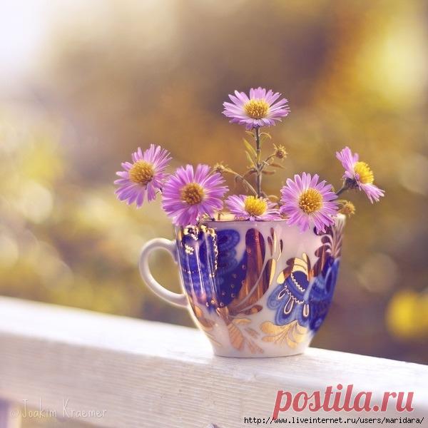 КАК ХОРОШО ПРОСНУТЬСЯ УТРОМ ДОМА,
ГДЕ ВСЕ, КАЗАЛОСЬ БЫ, ВАМ ИЗДАВНА ЗНАКОМО,
НО ГДЕ ТАК ПРАЗДНИЧНО В ЯВЬ ПЕРЕХОДИТ СОН,-
КАК БУДТО К СТАНЦИИ ПОДХОДИТ ВАШ ВАГОН.

ВЫ ПРОСЫПАЕТЕСЬ ОТ СЧАСТЬЯ, СЛОВНО В ДЕТСТВЕ.
ВАМ СОЛНЦЕ ЛЕТНЕЕ ШЛЕТ МИЛЛИОН ПРИВЕТСТВИЙ,
И СТЕНЫ СВЕТЛЫЕ, И ЯРКО-ЖЕЛТЫЙ ПОЛ,
И САД, ПРОНИЗАННЫЙ НАСКВОЗЬ ЖУЖЖАНЬЕМ ПЧЕЛ.

С. Я. МАРШАК