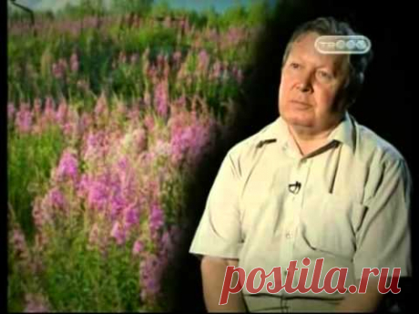Тайные знаки. Зеленая магия.