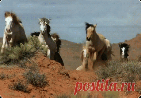 i-13578.jpg (500×350)