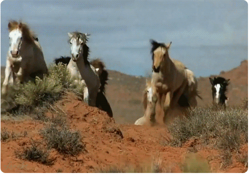 i-13578.jpg (500×350)