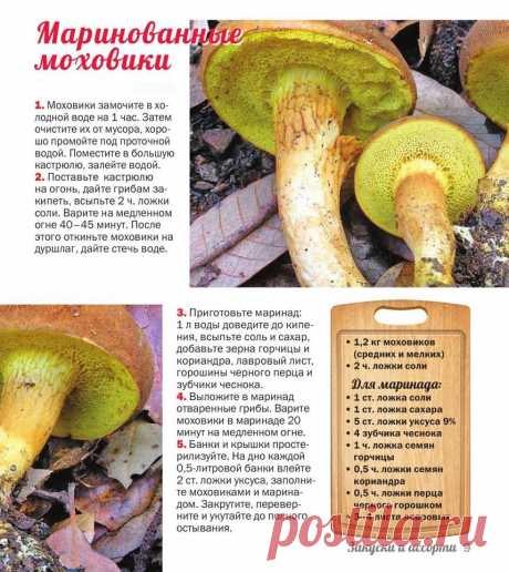Маринованные моховики