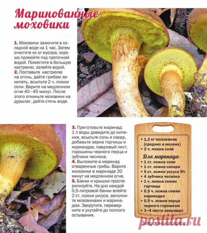 Маринованные моховики
