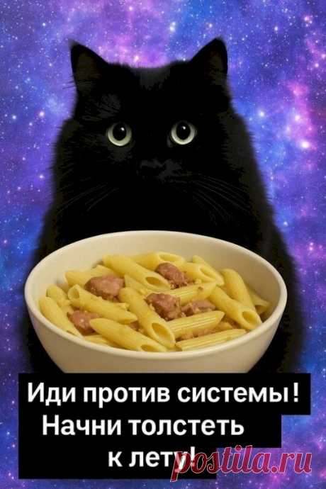 Выпуск №6422 - выпуск анекдотов сайта вокруг смеха