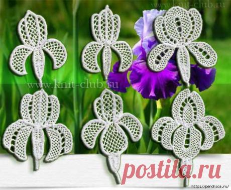 Ирисы выполненные в технике ирландского кружева.
