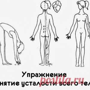 Упражнение «Снятие усталости всего тела»