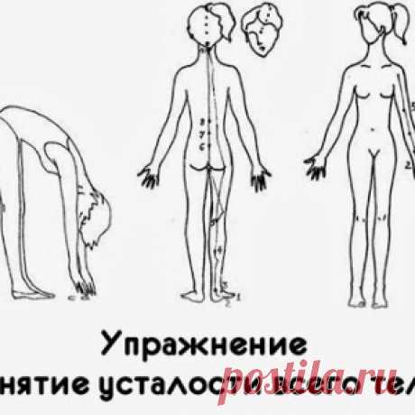 Упражнение «Снятие усталости всего тела»
