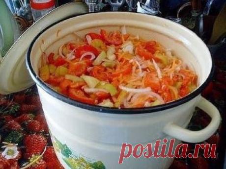 ОБЯЗАТЕЛЬНО сохраняйте СЕБЕ такое СОКРОВИЩЕ.

Болгарскuй перец – 1 кг., + зрелые помидоры – 3 кг., + репчатый лук – 1 кг., + морковь – 1 кг., + сахар – 6 ст. ложек с горкой, + растительное масло – 300 гр., + уксус 6% – 6 ст. ложек, + соль – 6 ст. ложек без горки.

Рецепт приготовления салата на зuму "Мечта":

Овощи хорошо промыть и обсушить. Помидоры нарезать ломтиками, лук – полукольцами. Сладкий перец и морковь нарезать соломкой. Овощи сложить в большую кастрюлю, добавит...