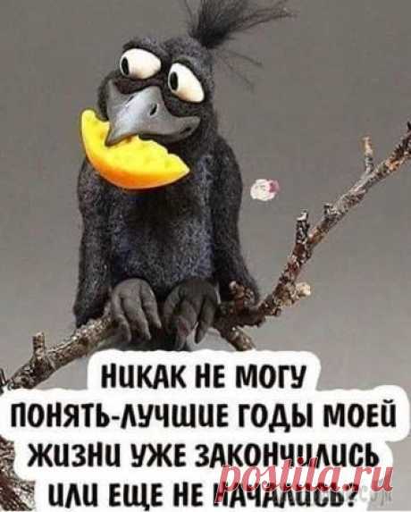 Подборка шуток о жизни женщинах