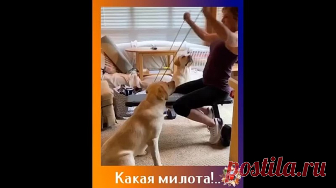 Тренировки подождут