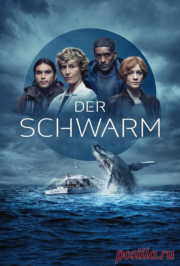 Рой (2023, 1 сезон) смотреть сериал онлайн бесплатно в хорошем качестве HD 720 или 1080p