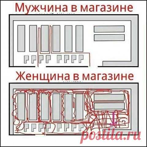 Анекдоты в пятницу | Домохозяйки