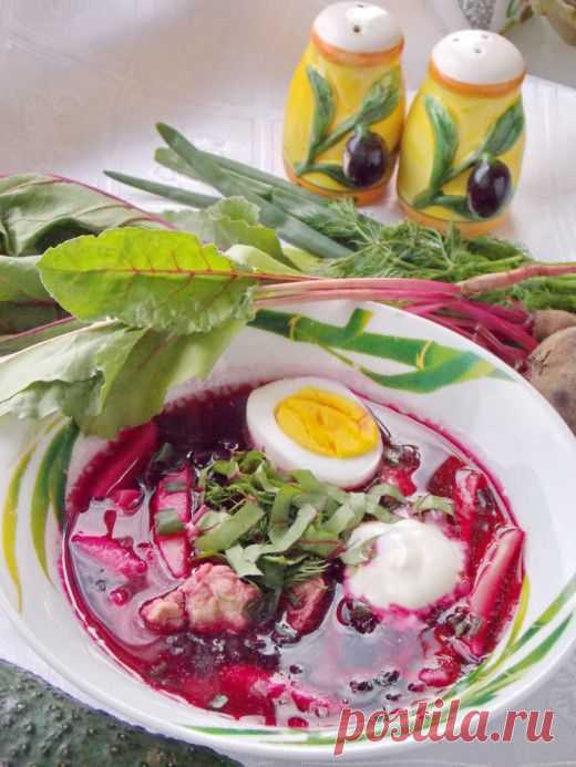 Холодный суп — вкусный, легкий и полезный Свекольник