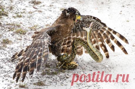 Рубрика «Фото дня»: лучшее за 2015 год / Путешествия / Моя Планета