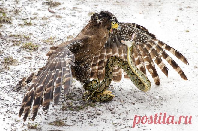 Рубрика «Фото дня»: лучшее за 2015 год / Путешествия / Моя Планета