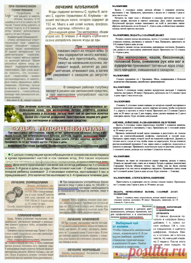 Анемия. Малокровие